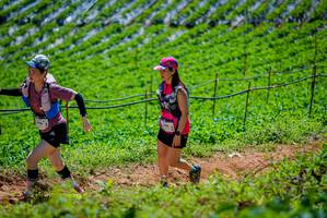 BIB: 1409
                            <button type="button" onclick="openModal(19164706)" class="btn btn-primary btn-sm float-right btn-popup" data-toggle="modal" data-target=".modal-high-quality">
                        <i class="fas fa-shopping-cart"></i> Add to Cart
                    </button>
                                            <button type="button" onclick="isThisMe(19164706, true)" class="btn btn-success btn-sm float-right btn-popup btn-isme hidden" data-toggle="tooltip" data-placement="bottom" title="นี่คือรูปของคุณใช่ไหม คลิกที่นี่เพื่อเอาเข้าอัลบั้ม">
                        <i class="fas fa-plus"></i> Add to album
                    </button>
                    <button type="button" onclick="isThisMe(19164706, false)" class="btn btn-warning btn-sm float-right btn-popup btn-isnotme hidden">
                        <i class="fas fa-ban"></i> Remove from album
                    </button>